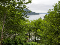 IMG_4455