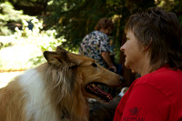 Collie Love