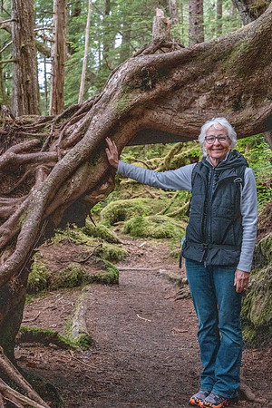 Mosquito Cove Trail