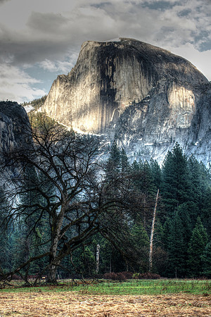 Half Dome from Cook's Meadow v2