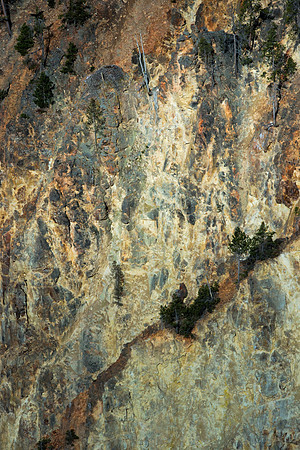 Canyon Wall Detail