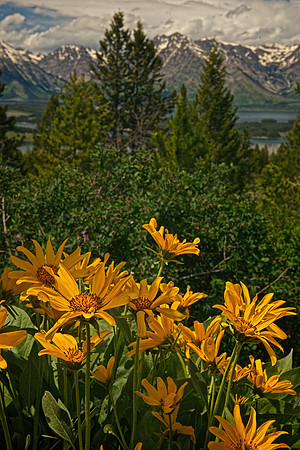 Signal Mountain Summit