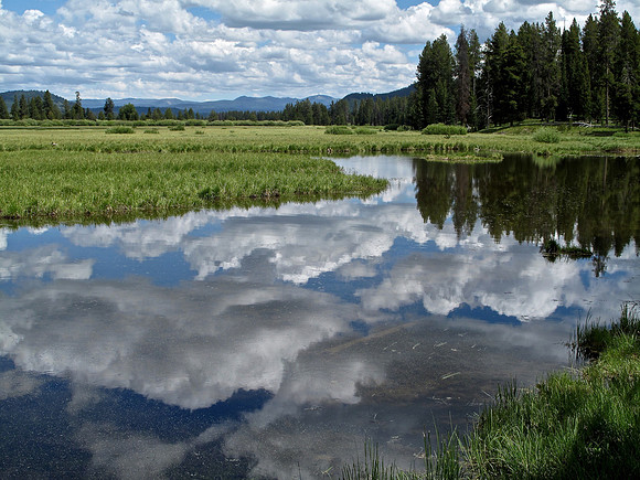 Swan Lake