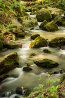 Peter's Creek - Long Ridge Open Space Preserve