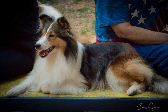 Sony is smilin' for the camera