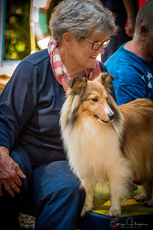Sheltie Romp 2017 1159