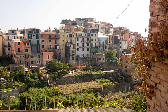 Corniglia
