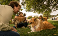 20161015 Collie Fun Day 20160260_