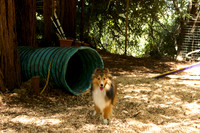 Coming out of the tunnel!