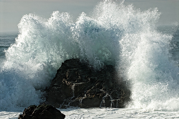 Salt Point Waves