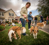 20161015 Collie Fun Day 20160056_