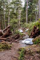 Mosquito Trail Work