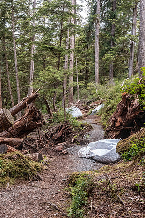 Mosquito Trail Work