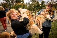 20161015 Collie Fun Day 20160135_