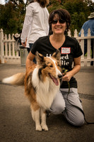 20161015 Collie Fun Day 20160022_