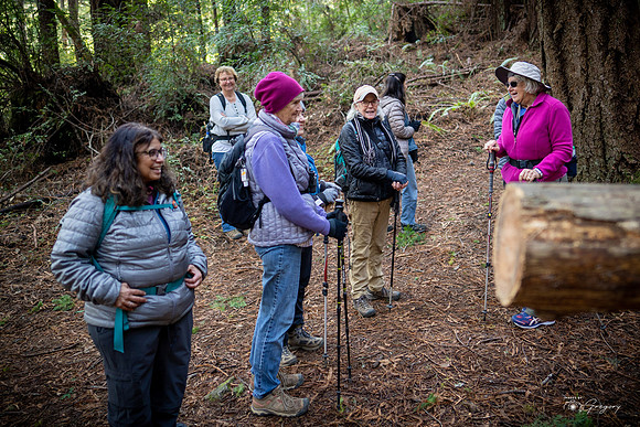 20211117 Happy Hikers in Butano SP _0662