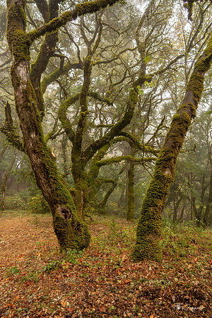 20211021 ECdM With Diane W-B 0055-HDR
