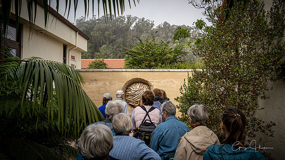 Andy Goldsworthy "Earth Wall"