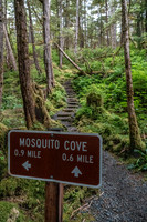 Mosquito Cove Trail