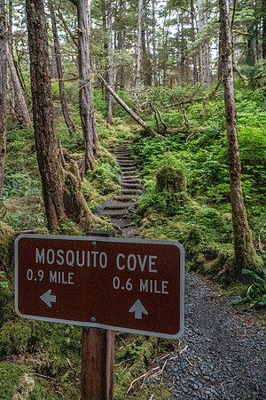 Mosquito Cove Trail