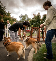 20161015 Collie Fun Day 20160030_