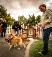 20161015 Collie Fun Day 20160034_