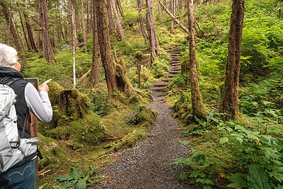 Mosquito Cove Trail