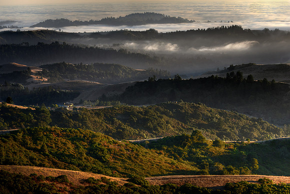 Fog movin' in