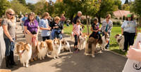 20161015 Collie Fun Day 20160197_